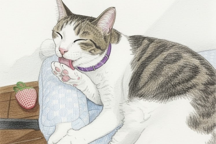 意外と知らない猫の秘密🐾