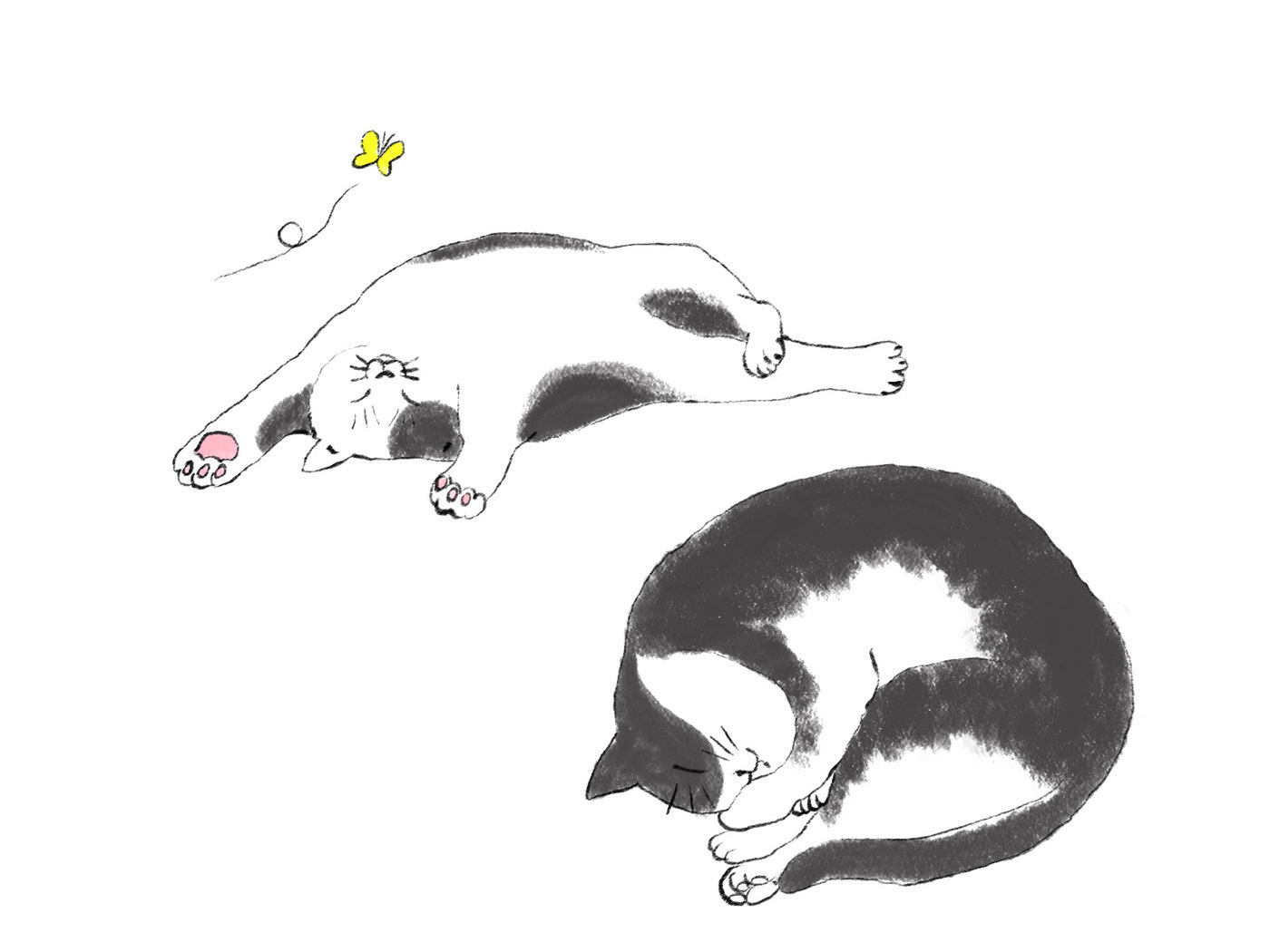 猫から学ぶ生き方🐾Part2