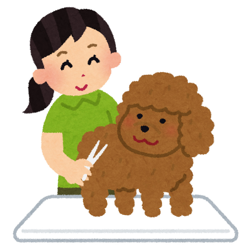 愛犬と進む日常part4