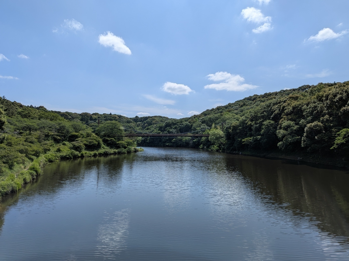 休日のリフレッシュ🌳緑と水辺に癒やされる「都田総合公園」へ行ってきました！