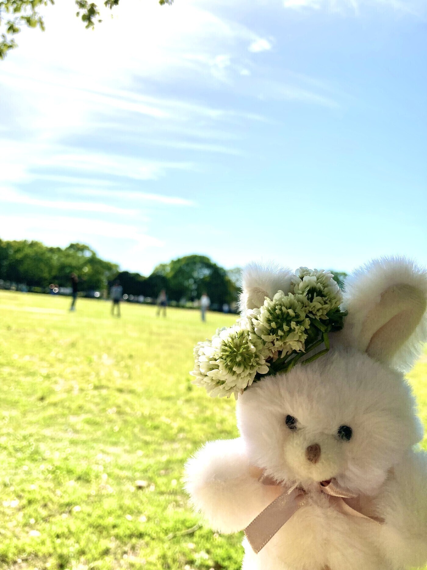 ぬい活のすすめ①|実は最強のメンタルケア！大人が「ぬいぐるみ」を持つメリット